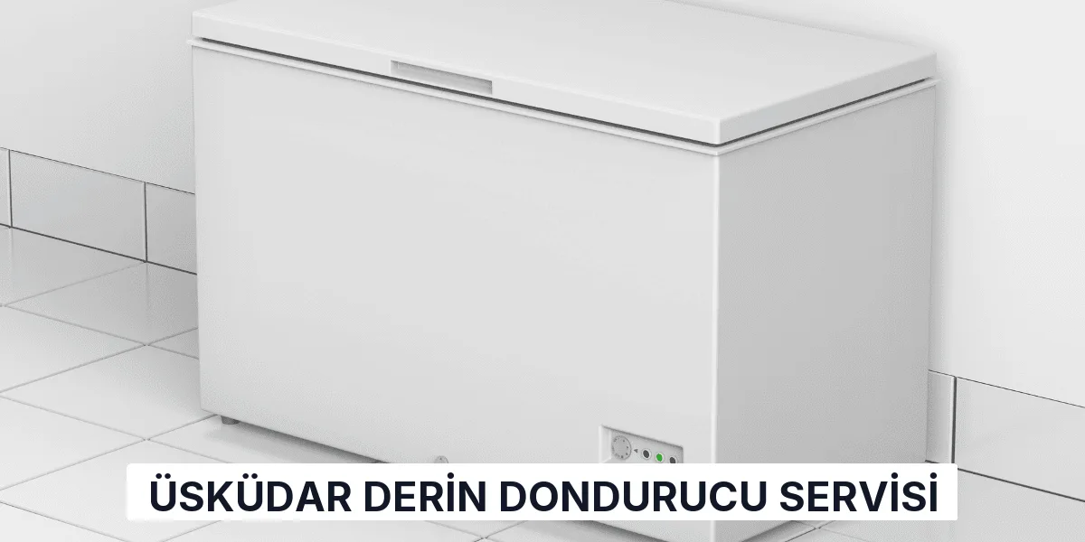 Üsküdar Derin Dondurucu Servisi